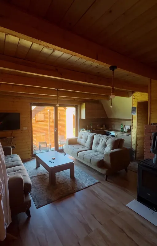 Pine-clad living room of an A-frame villa with sofas, a stove and the kitchen behind